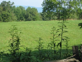 IMG_5605 Leading in Context LLC