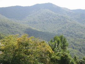 Leading in Context LLC