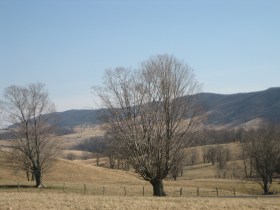 Leadership and Harm: Workplace Bullying