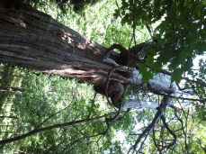 Possibility, Service and Making a Difference