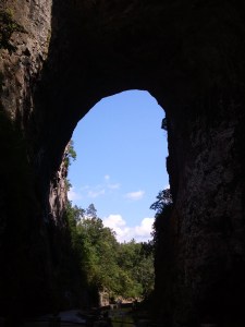 Improving Lives and Organizations