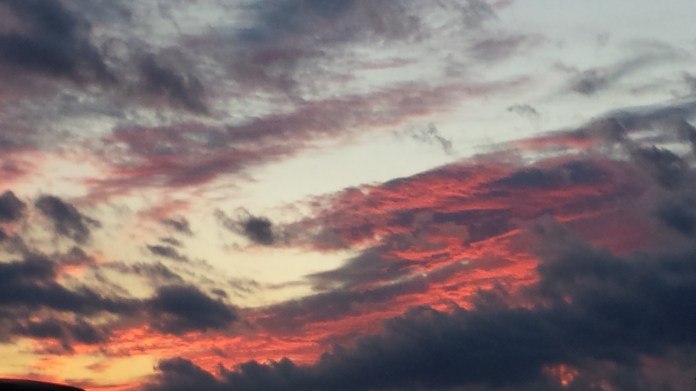 learning leader, leadership future, learning future,